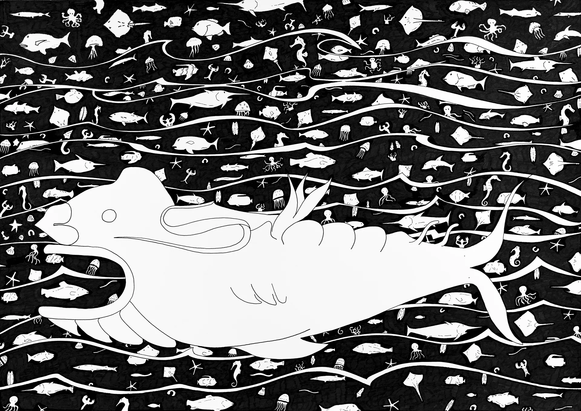 OCEANO